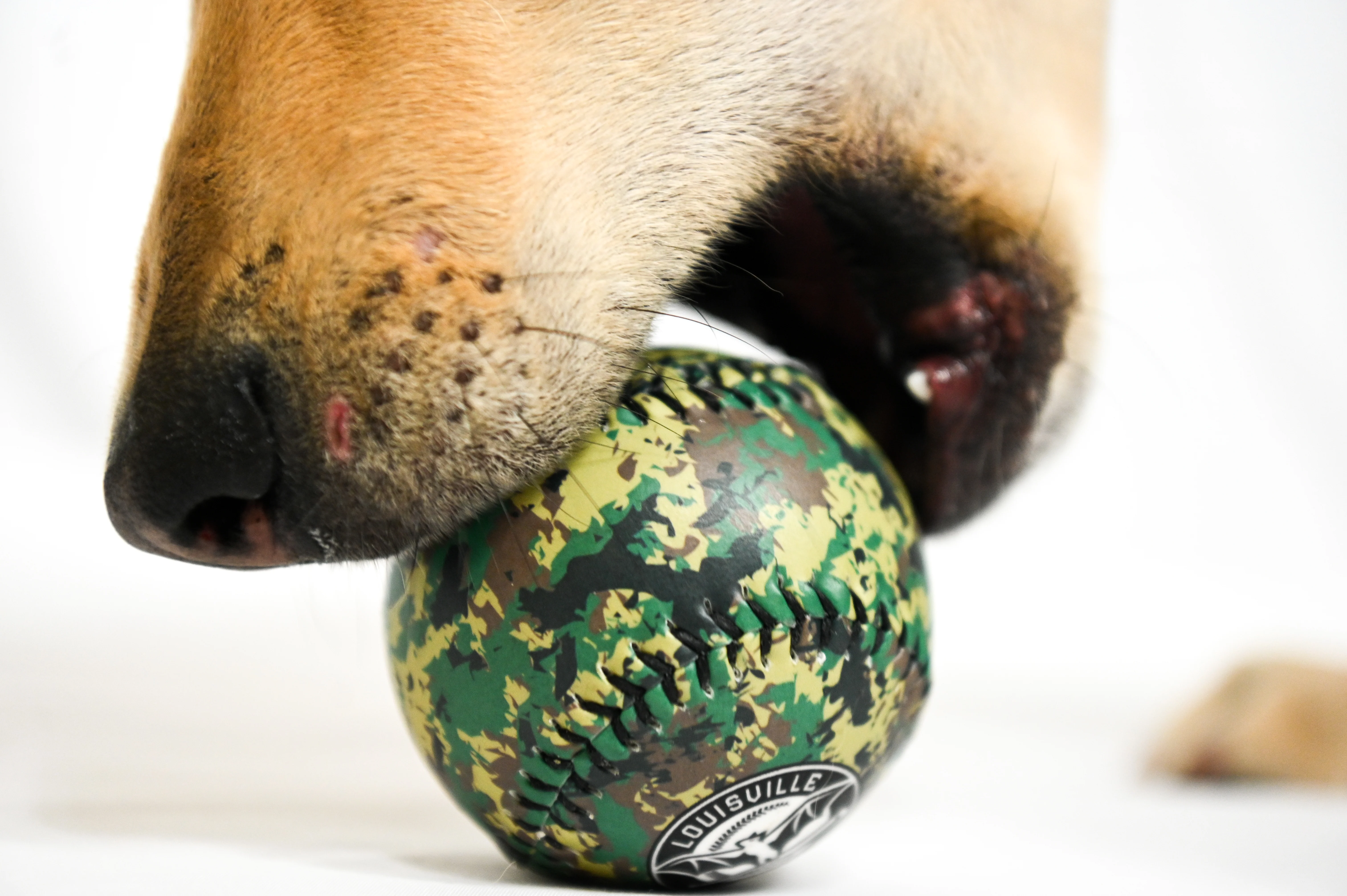 Louisville Bats Camo Baseball - Image 3
